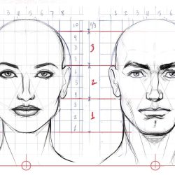 Face Anatomy Drawing Art