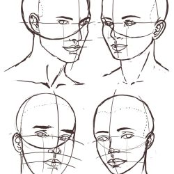 Face Anatomy Drawing Artistic Sketching