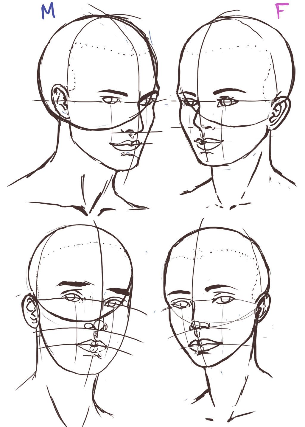 Face Anatomy Drawing Artistic Sketching