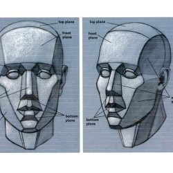 Face Anatomy Drawing Hand drawn Sketch