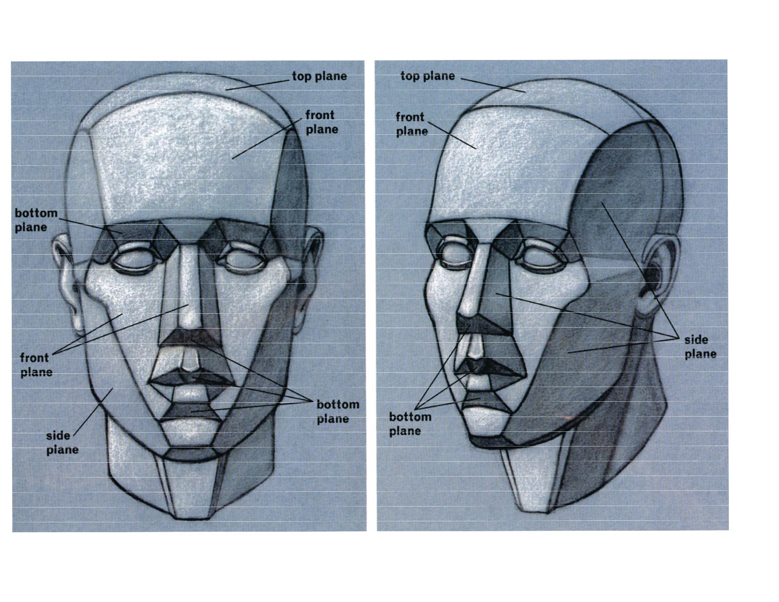 Face Anatomy Drawing Hand drawn Sketch