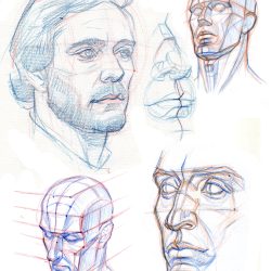 Face Anatomy Drawing Intricate Artwork