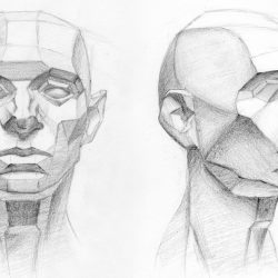 Face Anatomy Drawing Sketch