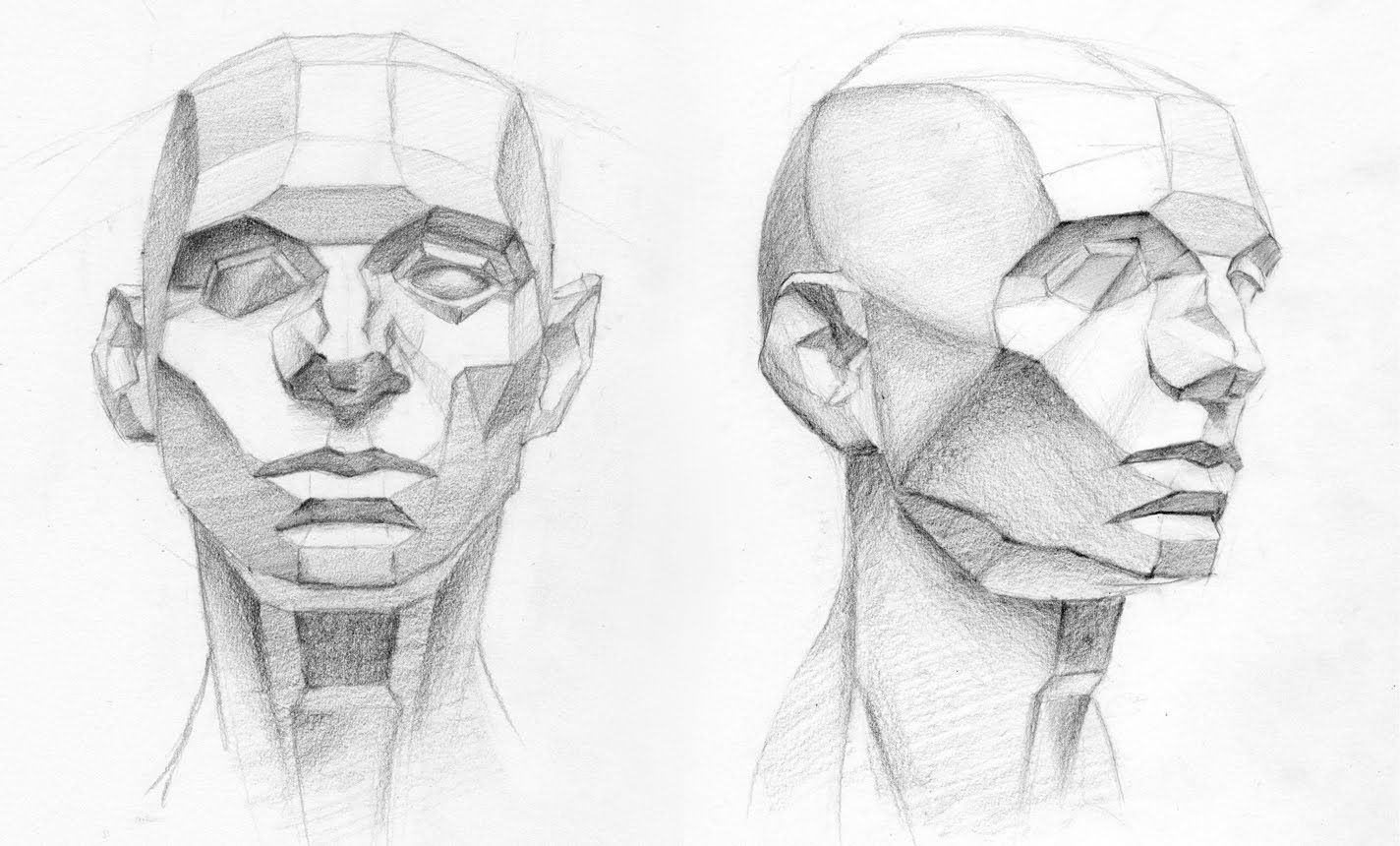 Face Anatomy Drawing Sketch