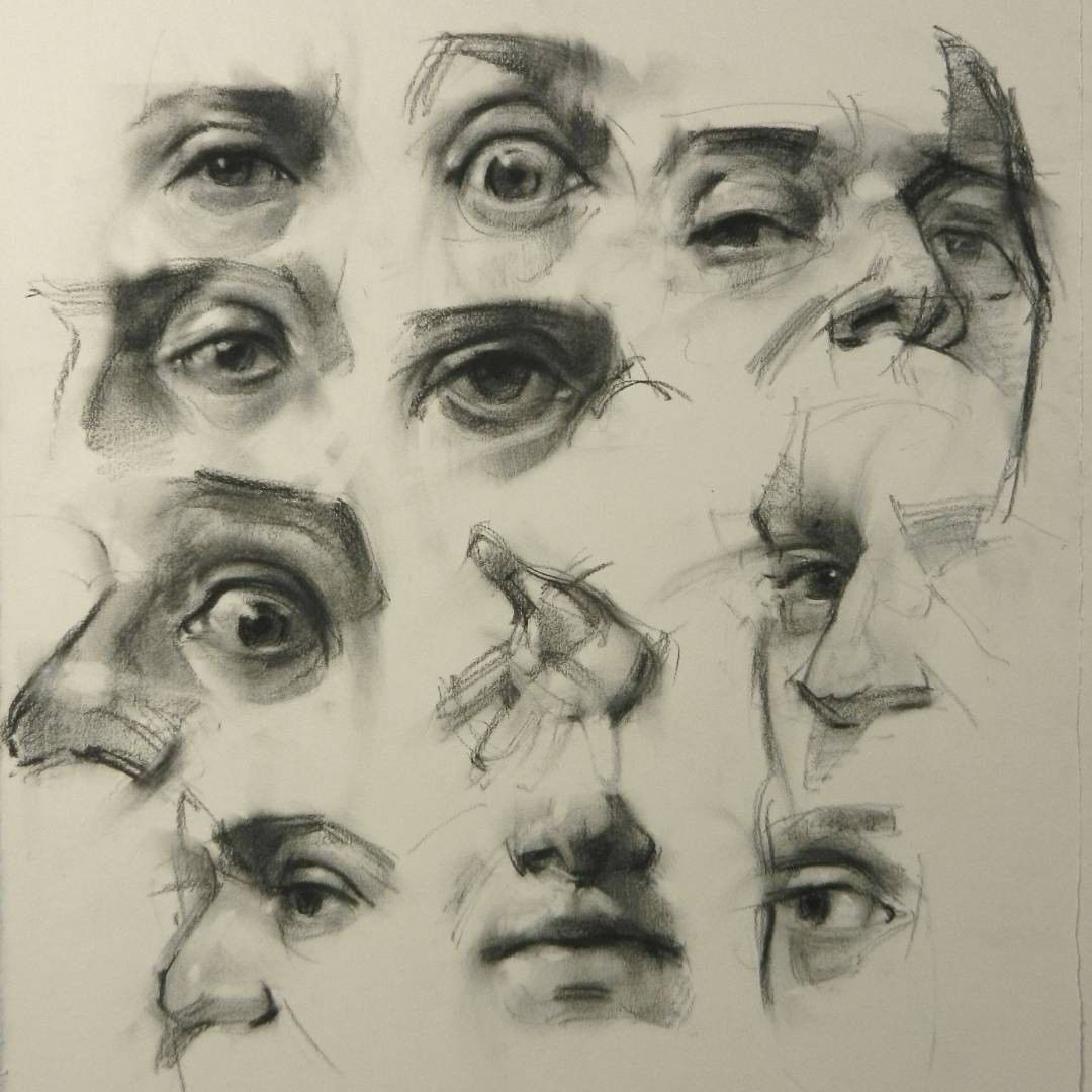 Face Anatomy Drawing