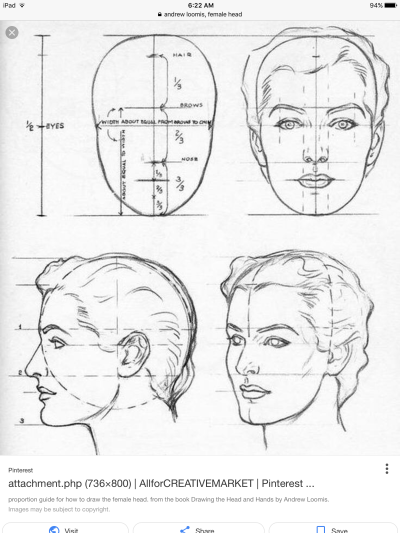 Facial Anatomy, Features, Structure, Proportions, Regions Drawing