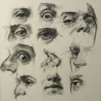 Anatomy Face, Facial Proportions, Facial Structure, Human Face, Anatomical Features Drawing