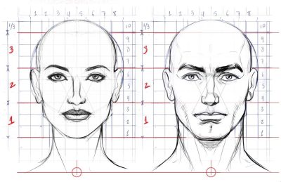 Face Anatomy, Functions, Proportions, Features, Structure Drawing