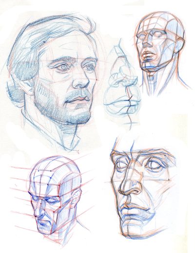 Face Anatomy Structure, Regions, Features, Proportions, Functions Drawing