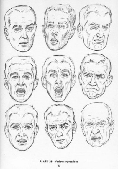 Face, Contour, Appearance, Expression, Features Drawing