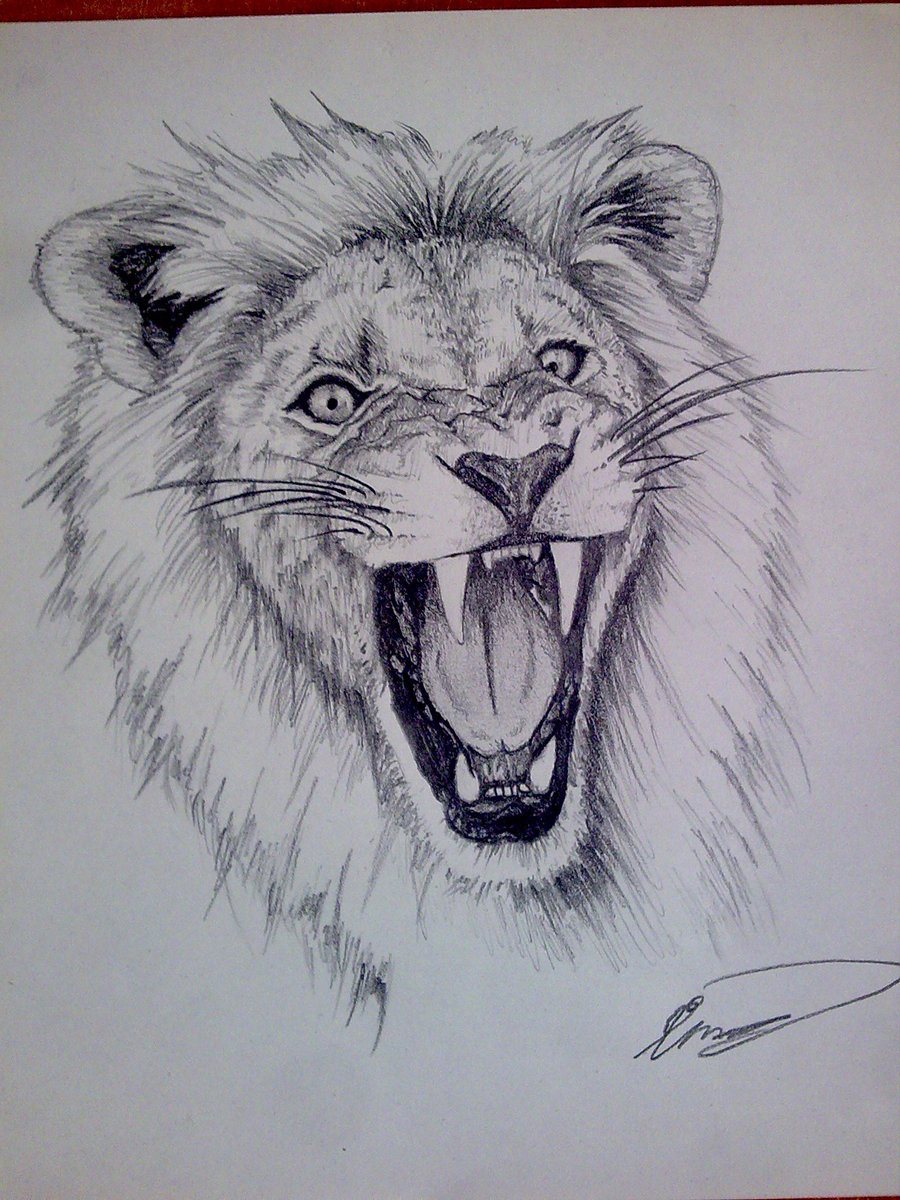 Face Lion Drawing Art