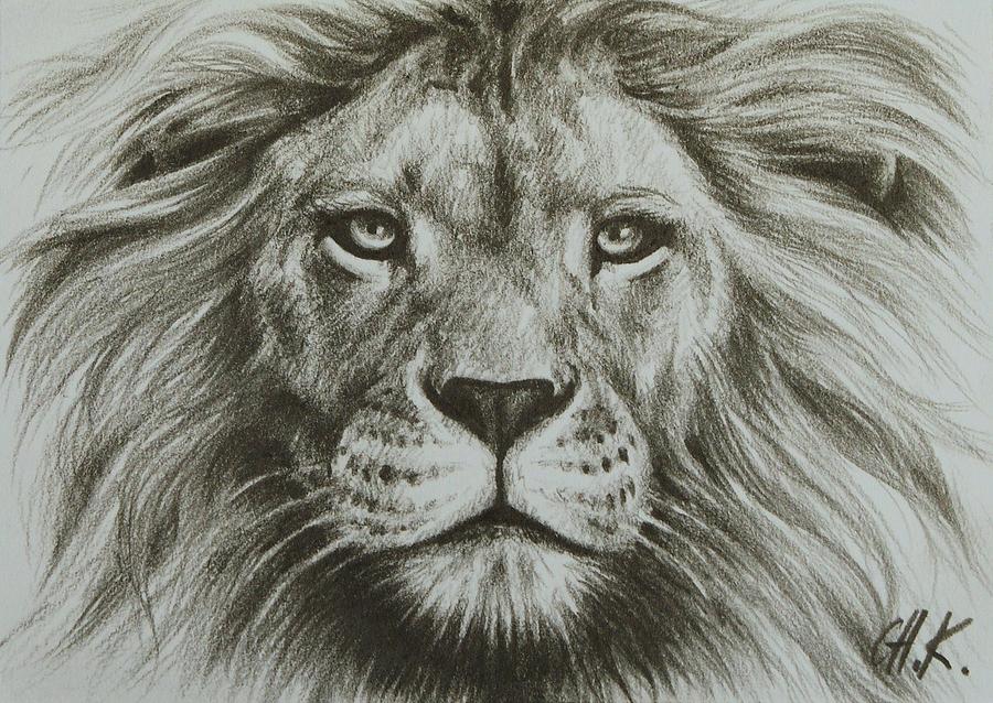 Face Lion Drawing Hand drawn Sketch