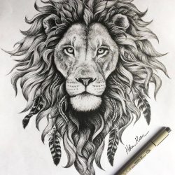 Face Lion Drawing Realistic Sketch