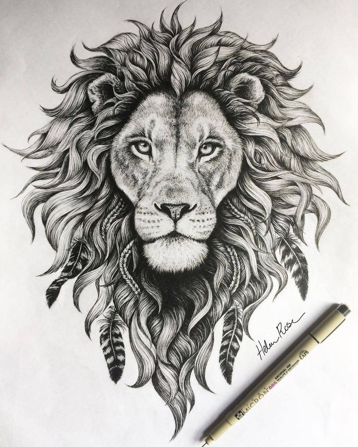 Face Lion Drawing Realistic Sketch