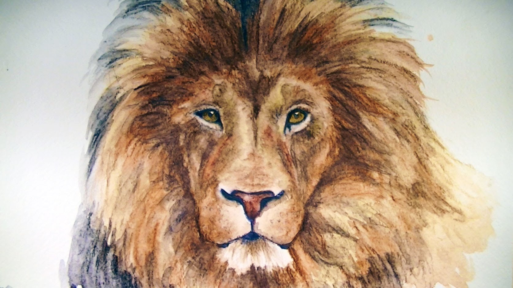 Face Lion Drawing