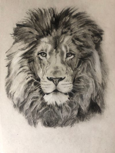 Face Lion, Fierce Gaze, Wild Roar, Regal Presence, Majestic Mane Drawing