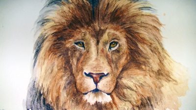 Face Lion, Majestic Roar, Fierce Mane, Regal Presence, Wild Spirit Drawing