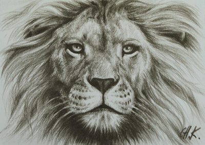 Face Lion, Majestic Roar, Fierce Mane, Regal Presence, Wild Spirit Drawing