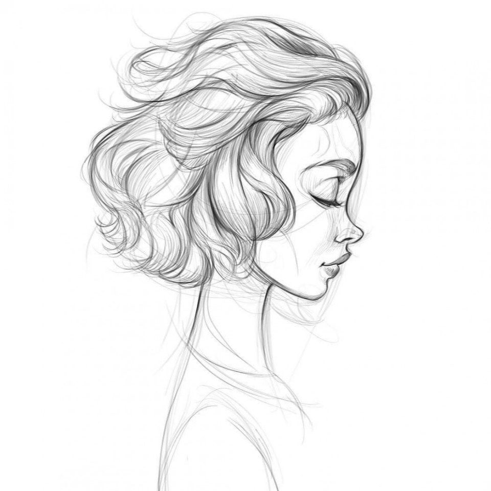 Face Profile Drawing Professional Artwork