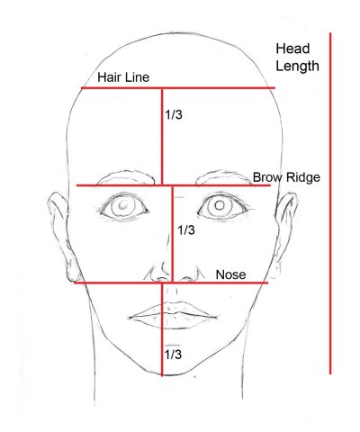 Face Proportions, Symmetrical Features, Artistic Guidelines, Aesthetic Balance, Facial Dimensions Drawing