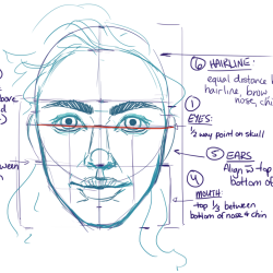 Face Proportions Drawing Amazing Sketch