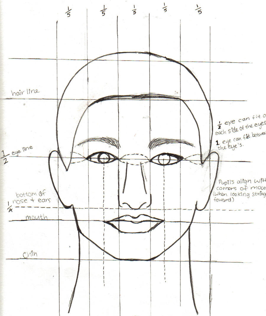 Face Proportions Drawing Artistic Sketching