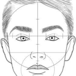 Face Proportions Drawing Creative Style