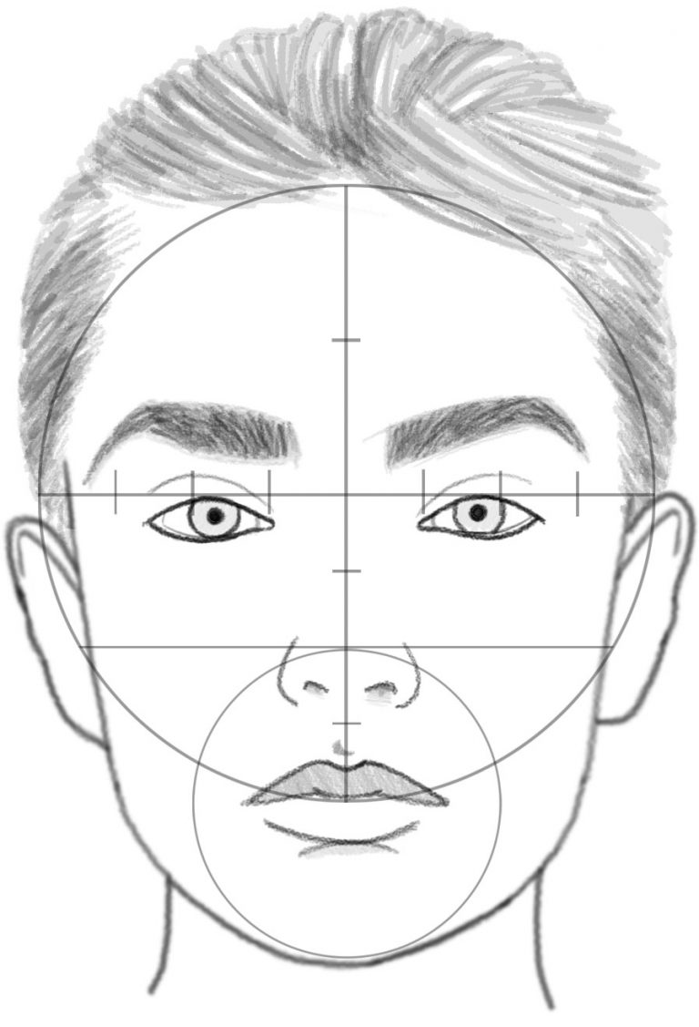 Face Proportions Drawing Creative Style