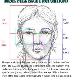 Face Proportions Drawing Hand drawn Sketch