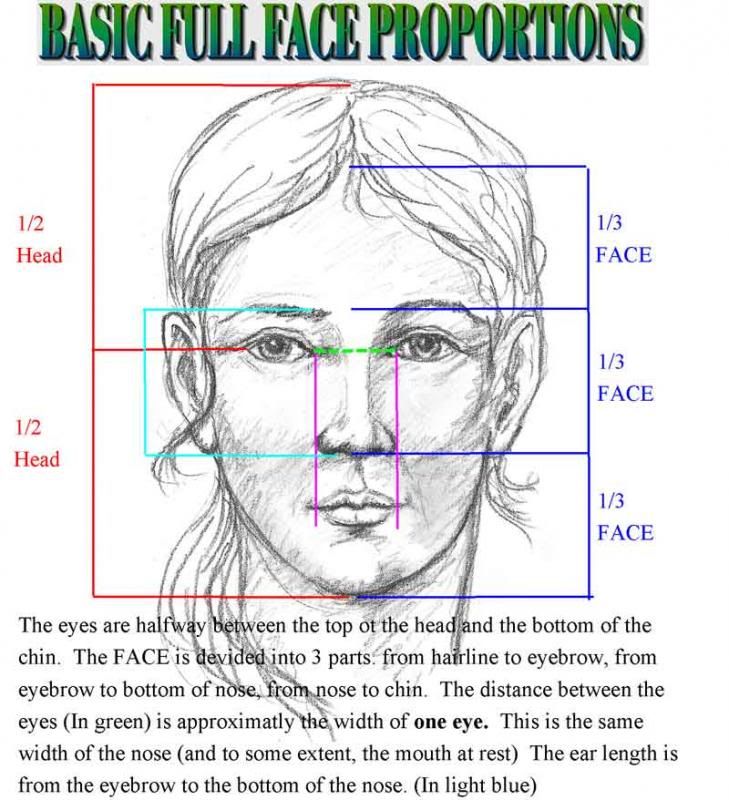 Face Proportions Drawing Hand drawn Sketch