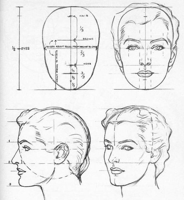 Face Proportions Drawing Hand drawn