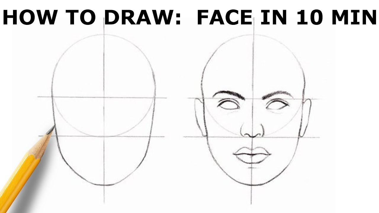 Face Proportions Drawing Intricate Artwork