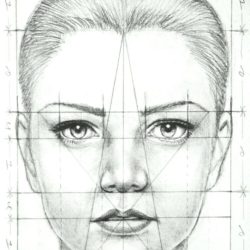 Face Proportions Drawing Modern Sketch