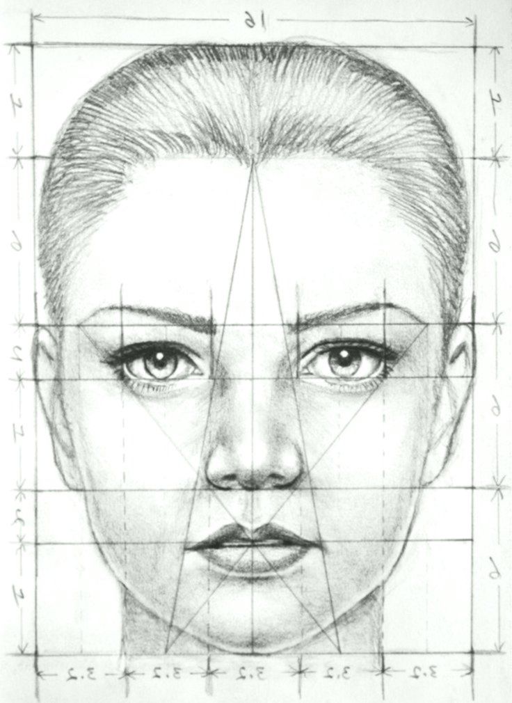 Face Proportions Drawing Modern Sketch