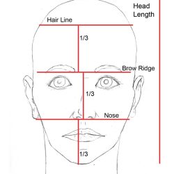 Face Proportions Drawing Sketch