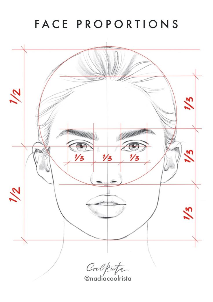 Face Proportions Drawing Stunning Sketch