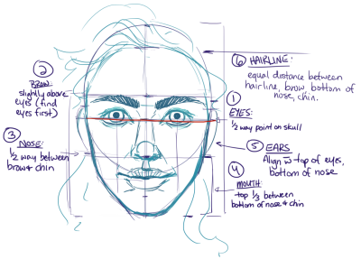 Face, Contour, Appearance, Expression, Features Drawing