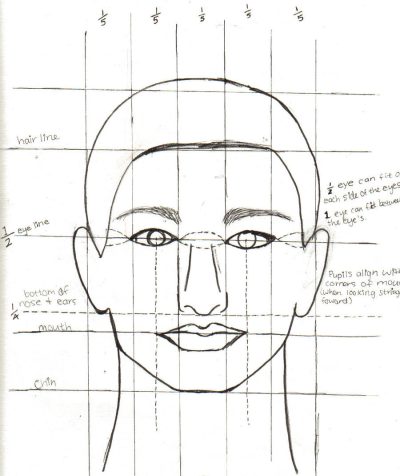 Face Proportions, Facial Symmetry, Aesthetic Balance, Feature Placement, Measurement Ratios Drawing