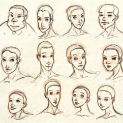 Face Shape Drawing Sketch