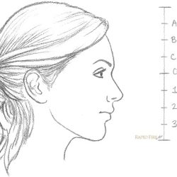 Face Side View Drawing Creative Style