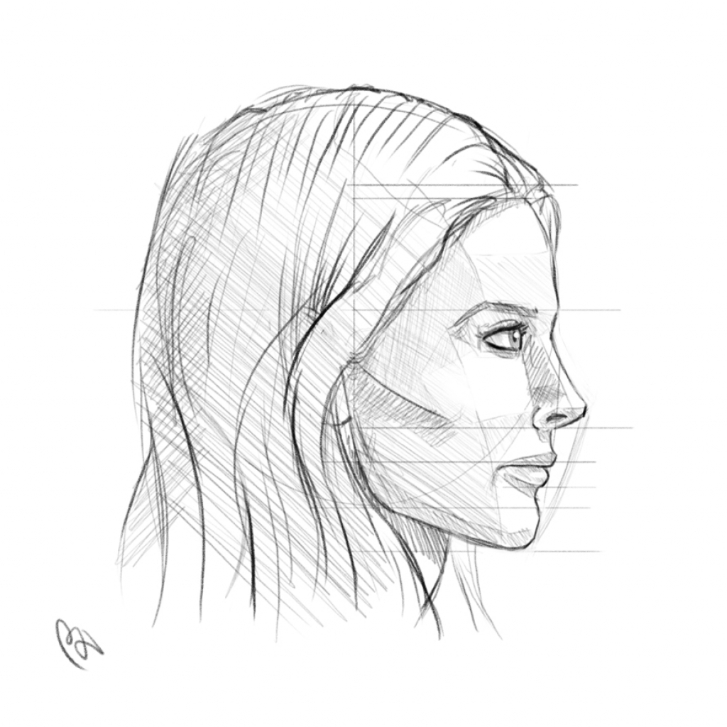 Facial Profile Drawing Amazing Sketch