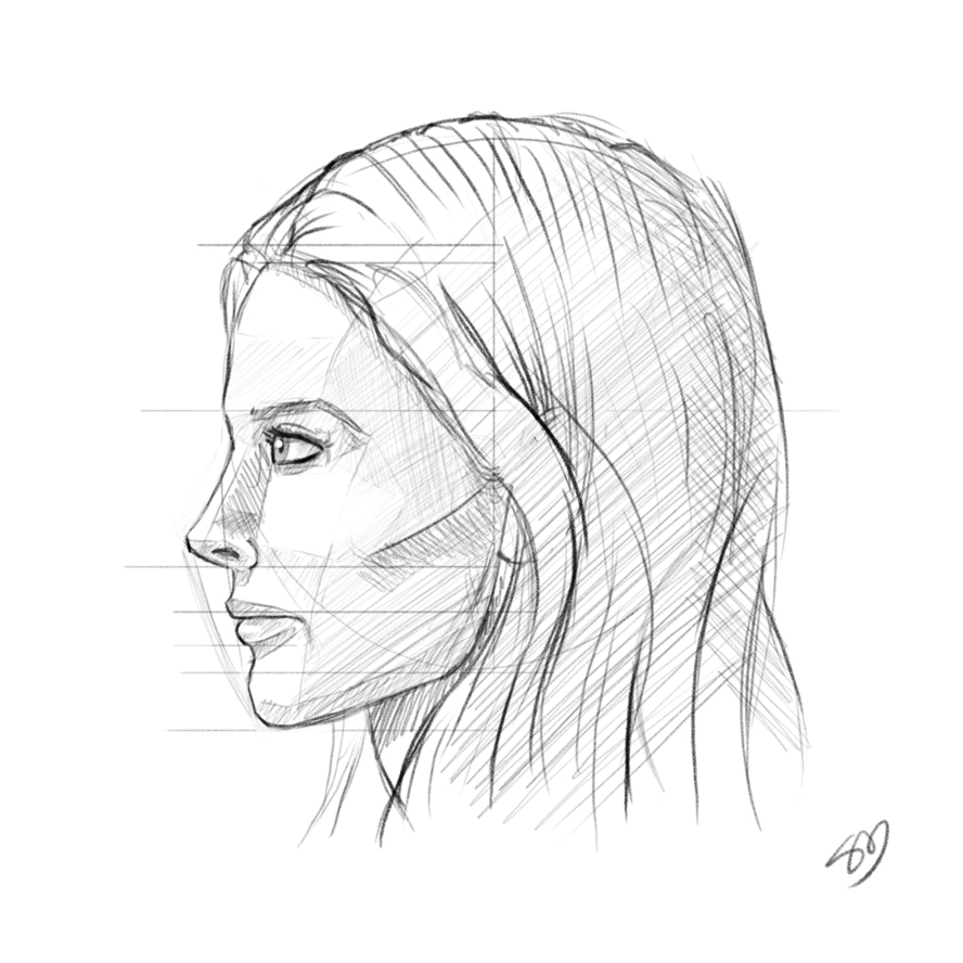 Facial Profile Drawing Realistic Sketch