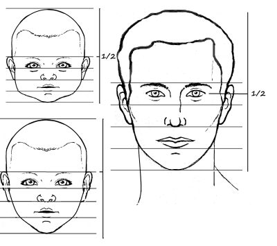 Facial Proportions, Symmetry, Ratios, Features, Aesthetics Drawing