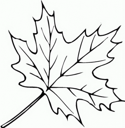 Fall Leaf, Seasonal Change, Nature’s Canvas, Autumn Colors, Crisp Air Drawing