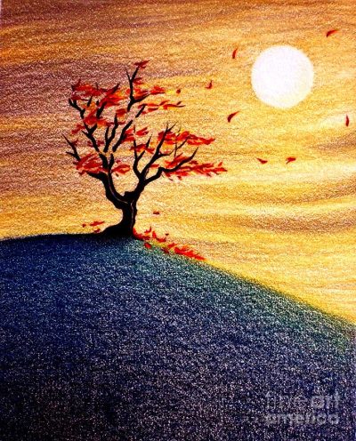 Fall Tree, Autumn Colors, Vibrant Leaves, Nature’s Beauty, Seasonal Change Drawing