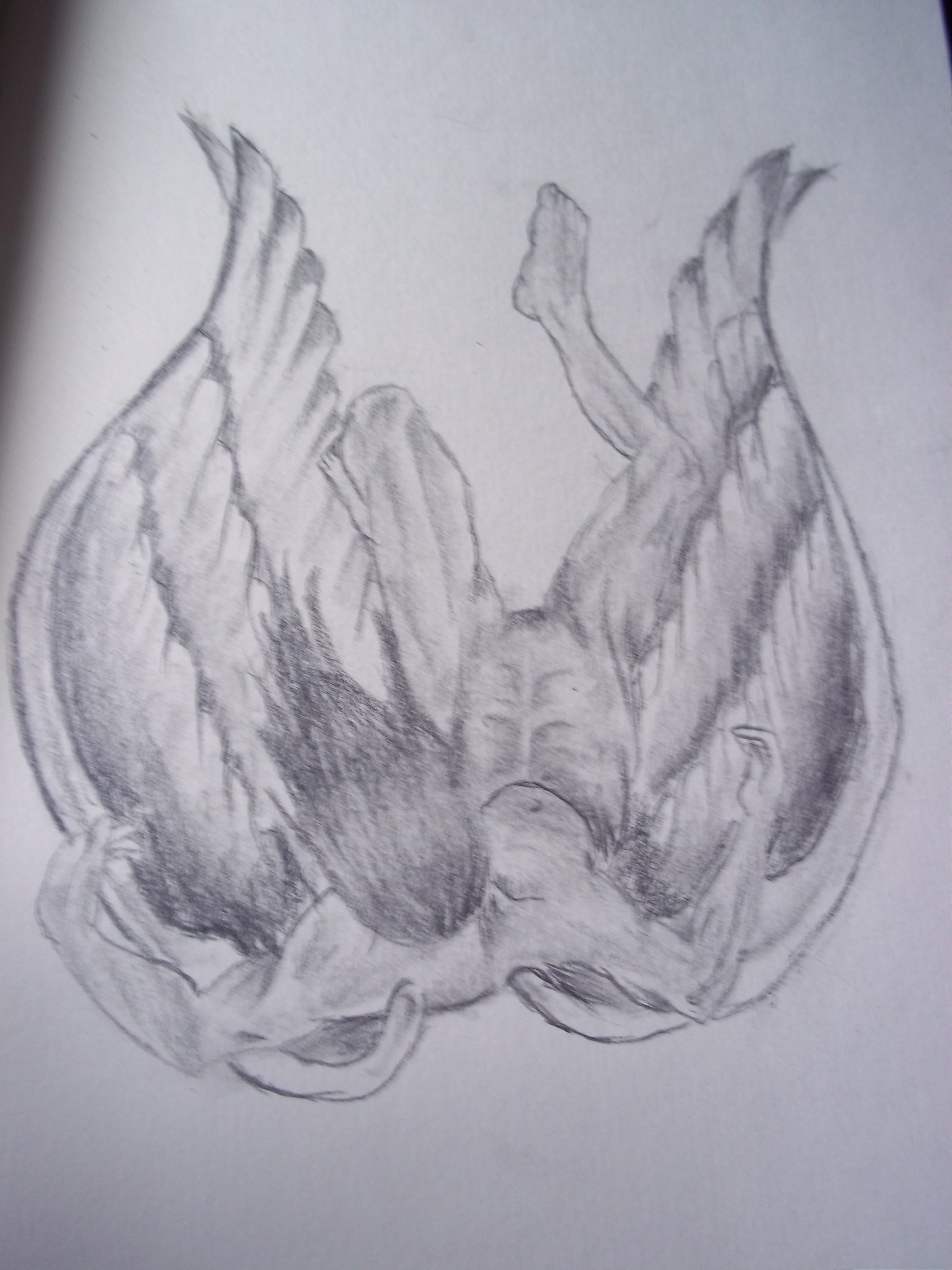 Fallen Angel Drawing Creative Style