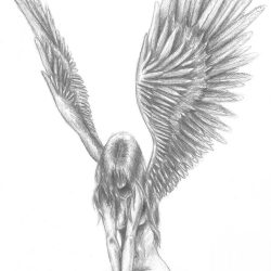 Fallen Angel Drawing Professional Artwork