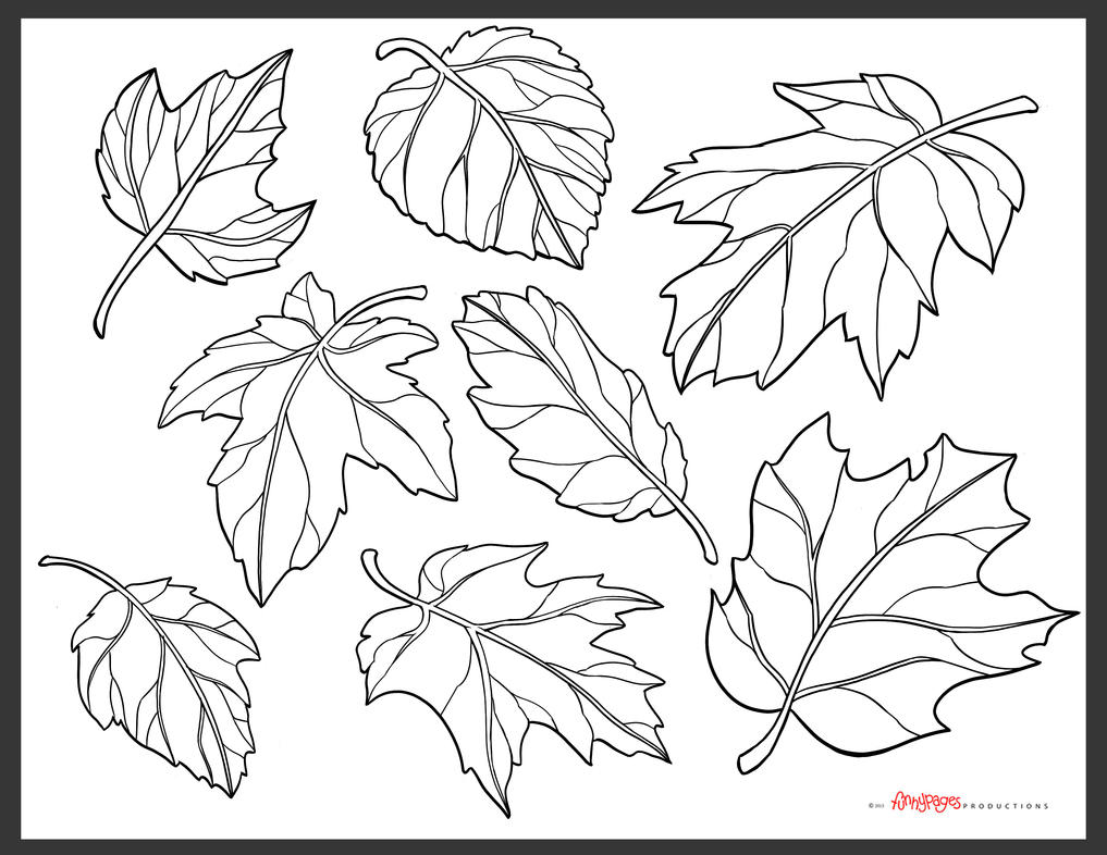 Falling Leaf Drawing Hand drawn Sketch