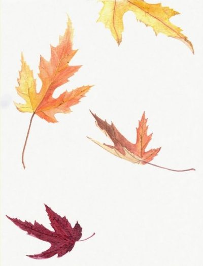 Falling Leaf, Nature’s Dance, Gentle Descent, Autumn Whisper, Serene Transition Drawing