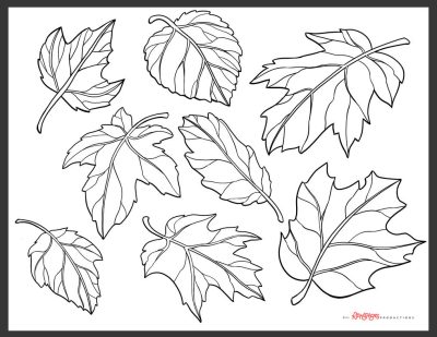 Falling Leaf, Nature’s Dance, Whispers of Change, Serene Beauty, Autumn Breeze Drawing